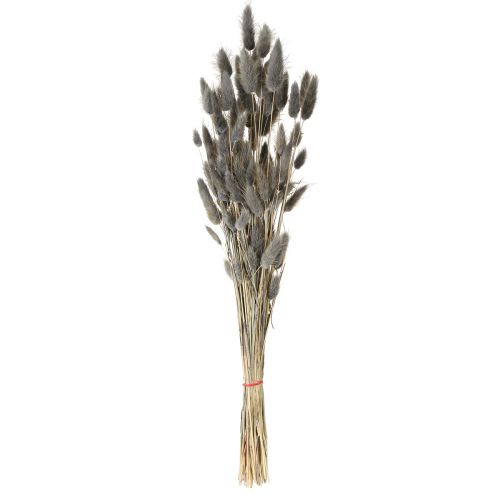 daiktų Lagurus džiovinta kiškio uodega pilka žolė 45-55cm 50g