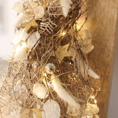 Džiovintos gėlės Lagurus Natural – kreminės baltos purios triušio uodegos žolė 55-70cm 100g | Floristik24.lt