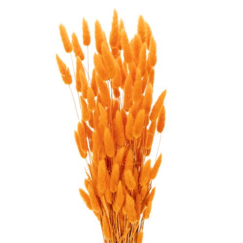 Džiovintos aksominės žolės kekė Lagurus, 70 cm, 100 g
