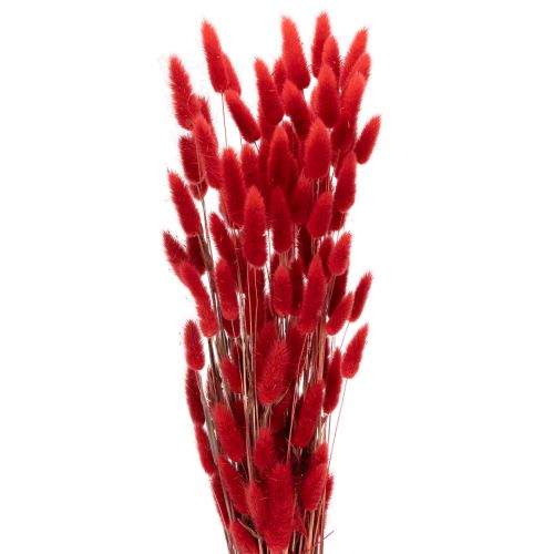Džiovintų Lagurus puokštė, džiovintų gėlių dekoracija, 70 cm, 100 g