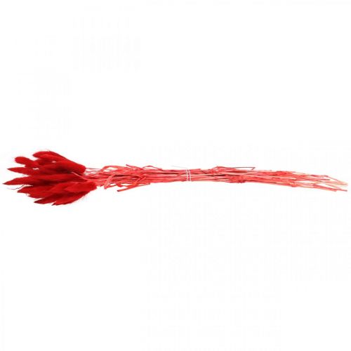 daiktų Dekoratyvinė žolė raudona, lagurus, aksominė žolė, sausa floristika L30-50cm 20g