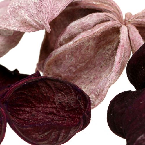 daiktų Landlotus Mix Blackberry, Old Pink 50 vnt