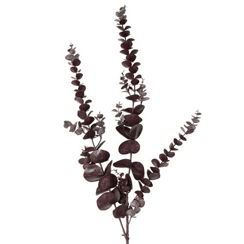 daiktų Ilgos dekoratyvinės dirbtinės eukalipto šakelės violetinės 103cm 2vnt