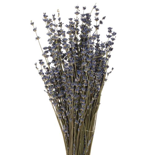daiktų Levandų džiovintų gėlių dekoras Natūralus 100g 40cm 100g × 2vnt