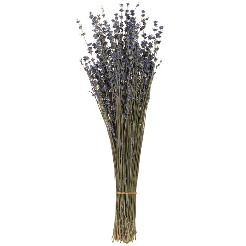 daiktų Levandų džiovintų gėlių dekoras Natūralus 100g 40cm 100g × 2vnt