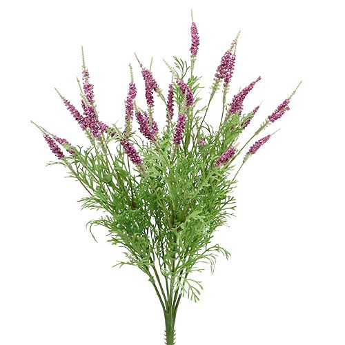 Levandų krūmas violetinis 43cm
