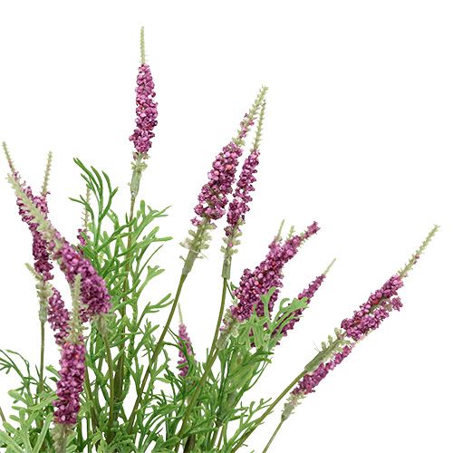Floristik24 Levandų krūmas violetinis 43cm