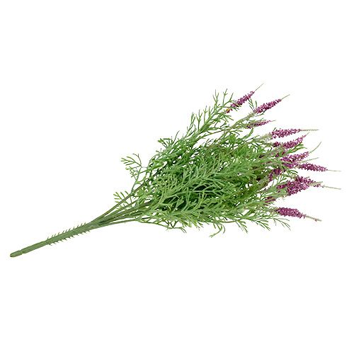 Floristik24 Levandų krūmas violetinis 43cm