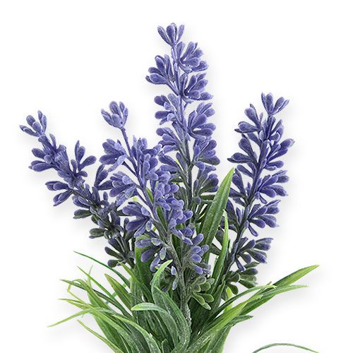 Floristik24 Levandų dirbtinė violetinė 25cm