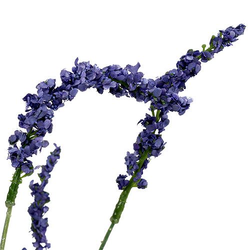 Floristik24 Levandų krūmas 55cm mėlynas