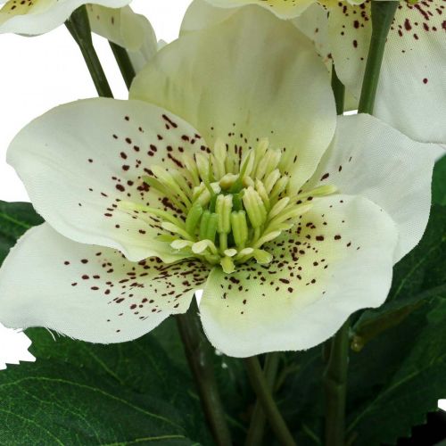 daiktų Lenten rose Hellebore Kalėdų rožių vazonas dirbtinės gėlės H25cm baltos