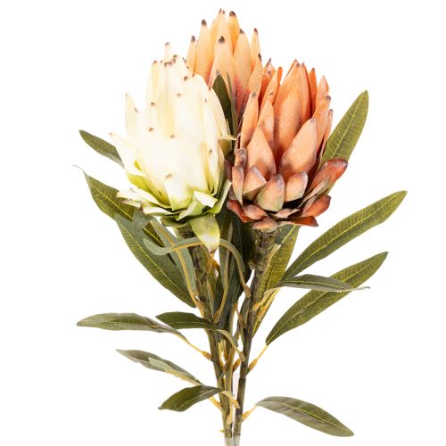 Dirbtinė Protea Leucadendron gėlė su ilgu kotu, 65 cm, 3 vnt. pirkti | Floristik24.lt