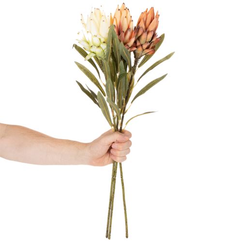 Dirbtinė Protea Leucadendron gėlė su ilgu kotu, 65 cm, 3 vnt. | Floristik24.lt