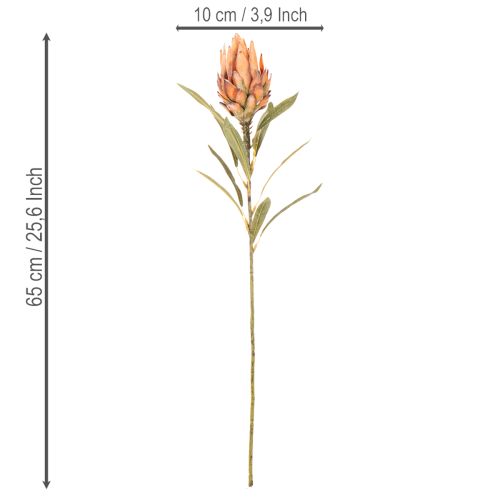 Dirbtinė Protea Leucadendron gėlė su ilgu kotu, 65 cm, 3 vnt. | Floristik24.lt