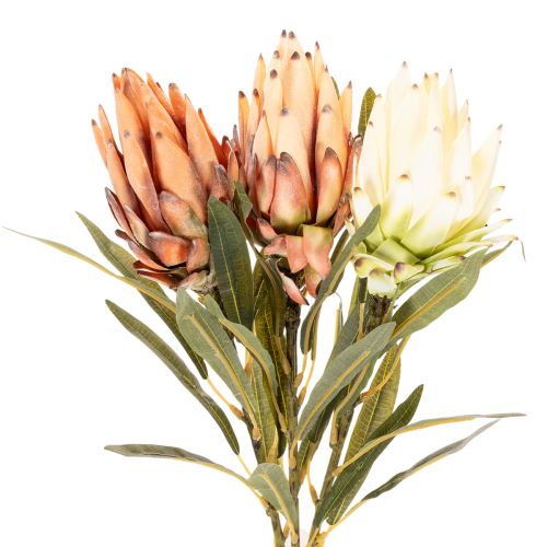Dirbtinė Protea Leucadendron gėlė su ilgu kotu, 65 cm, 3 vnt. | Floristik24.lt