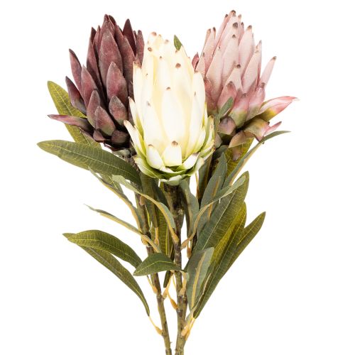 Dirbtinės protea gėlės Leucadendron 100 cm 3 vnt. pirkti | Floristik24.lt