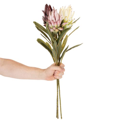 Dirbtinės protea gėlės Leucadendron 100 cm 3 vnt. | Floristik24.lt