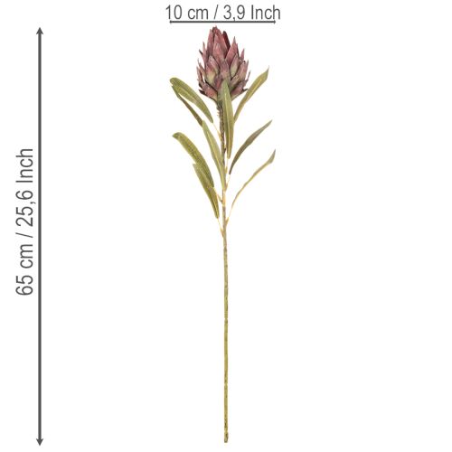 Dirbtinės protea gėlės Leucadendron 100 cm 3 vnt. | Floristik24.lt