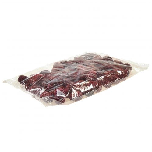 daiktų Leucadendron Sabulosum spurgai, raudoni matiniai 500g