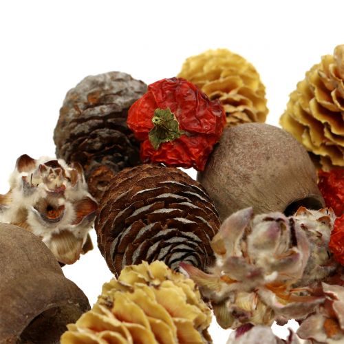 Floristik24 Egzotiškas džiovintų vaisių ir spurgų mišinys natūralus 500g
