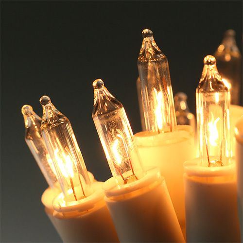 Floristik24 Šviesos grandinėlė mini 20 3m viduje balta / skaidri