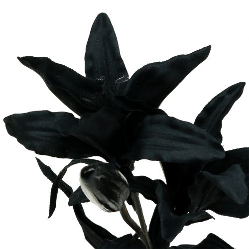 daiktų Dirbtinė gėlė lelija juoda 84cm