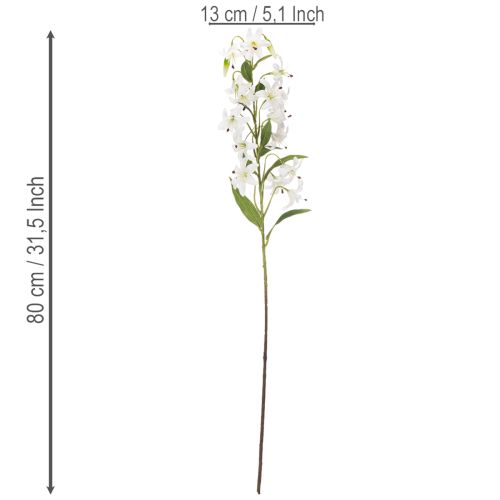  | Floristik24.lt