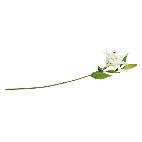 Floristik24 Lelija balta 66cm
