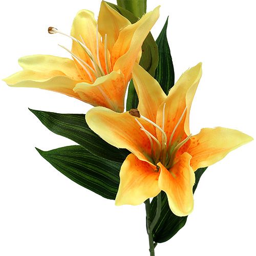 Floristik24 Dirbtinė lelija oranžinė L66cm 1vnt