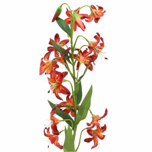 Floristik24 Oranžinė lelija 82cm