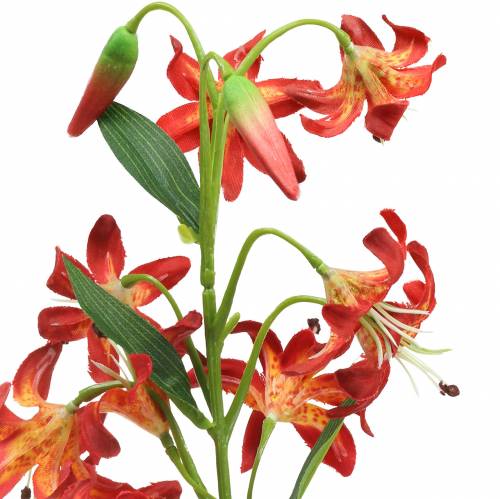 Floristik24 Oranžinė lelija 82cm