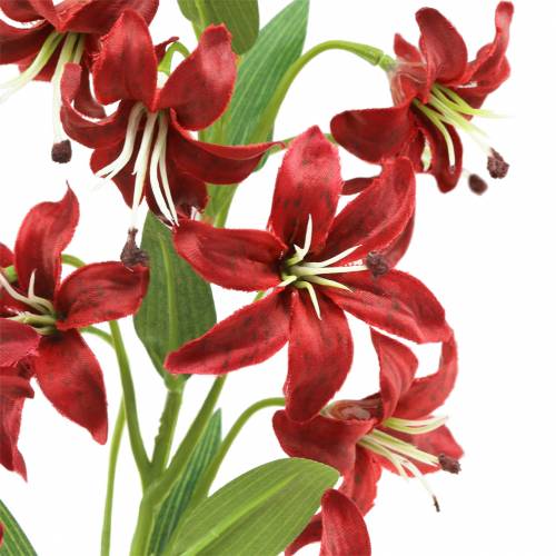 Floristik24 Lelija raudona 82cm