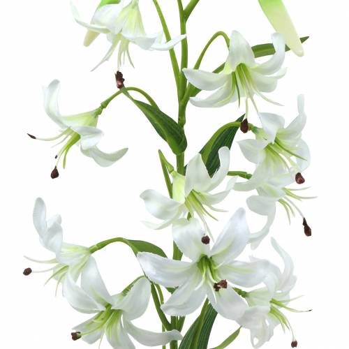 Floristik24 Lelija balta 82cm