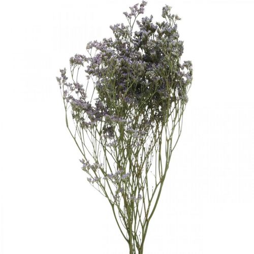 Floristik24 Sausos gėlės, Jūros levandos, Statice Tatarica, Jūros levandos, Limonium Violetinė L45–50cm 30g