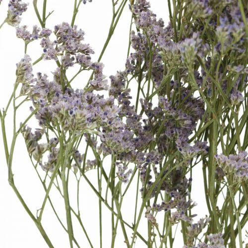 Floristik24 Sausos gėlės, Jūros levandos, Statice Tatarica, Jūros levandos, Limonium Violetinė L45–50cm 30g