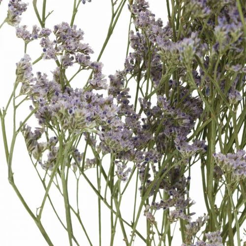 daiktų Sausos gėlės, Jūros levandos, Statice Tatarica, Jūros levandos, Limonium Violetinė L45–50cm 30g