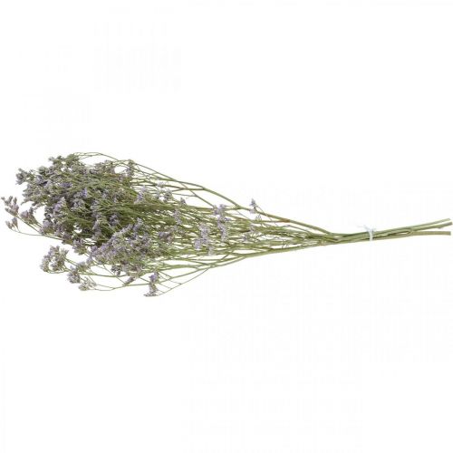 Floristik24 Sausos gėlės, Jūros levandos, Statice Tatarica, Jūros levandos, Limonium Violetinė L45–50cm 30g