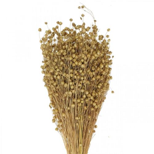 Floristik24 Natūralūs linai, žolės sausai gėlininkystei, Linum naturalus produktas 160g