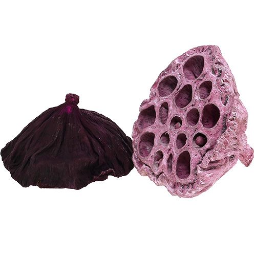 daiktų Lotus Mix Pink, Erika Ø6cm - Ø10cm 50 vnt