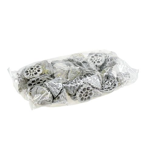 daiktų Lotus Natural Deco Lotus Bulb White Skalbiamas 6-8cm 50 vnt