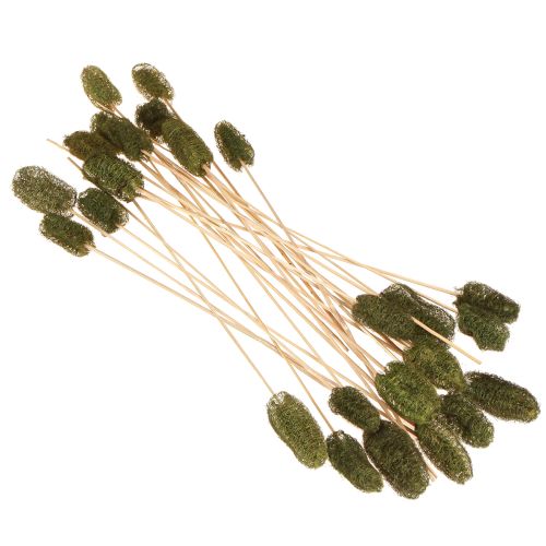 daiktų Luffa maži agurkai ant pagaliuko, tamsiai žali, 5-7 cm, 25 vnt.