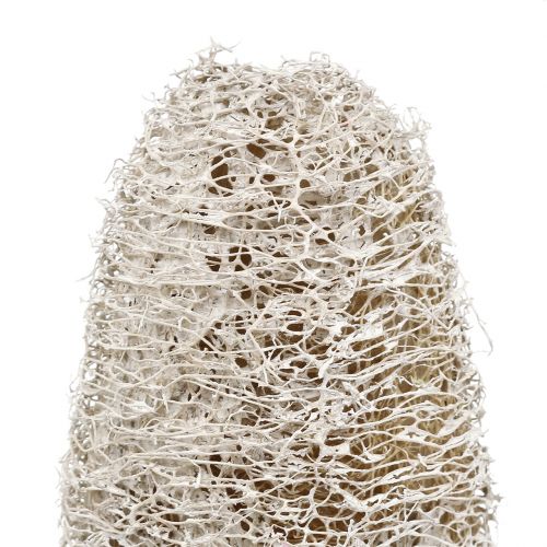 daiktų Luffa maža ant pagaliuko balta skalbta 25 vnt