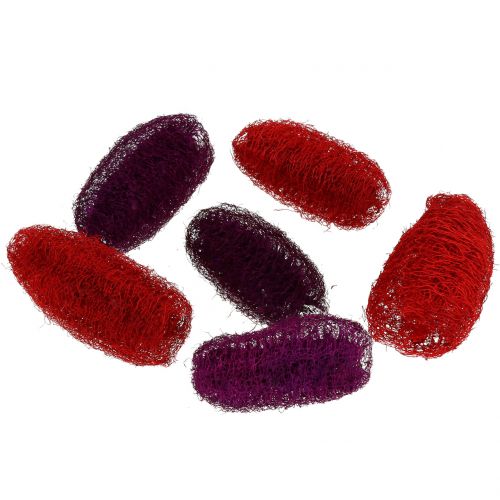 Floristik24 Lufas asorti violetinė, vyno raudona 9cm - 12cm 50 vnt