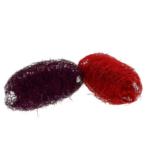 Floristik24 Lufas asorti violetinė, vyno raudona 9cm - 12cm 50 vnt