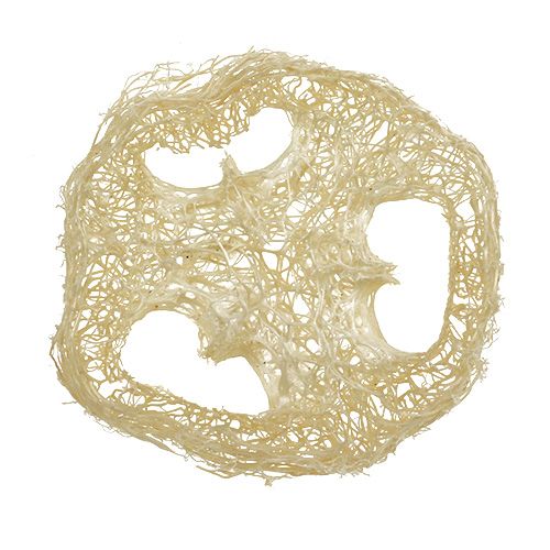 Floristik24 Luffa diskai balinti Ø5cm 48 vnt