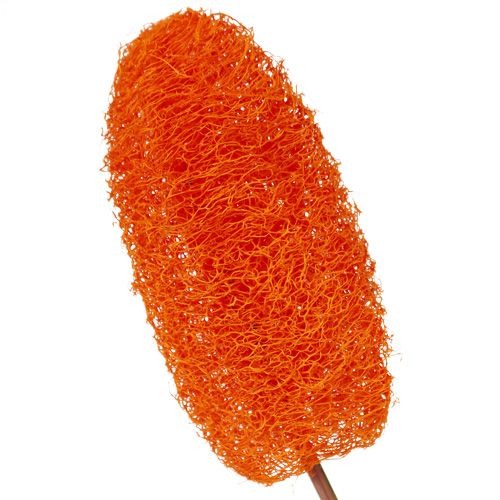 daiktų Luffa didelė ant pagaliuko oranžinė 25 vnt