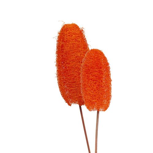 daiktų Luffa mažas ant pagaliuko oranžinis 25 vnt