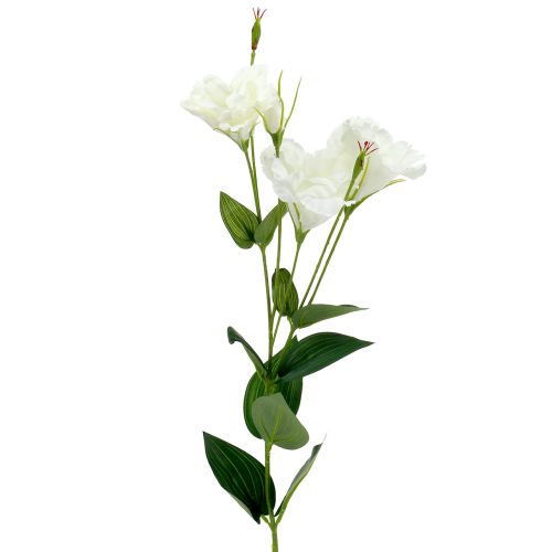 Floristik24 Lysianthus dirbtinė gėlė balta L87,5cm