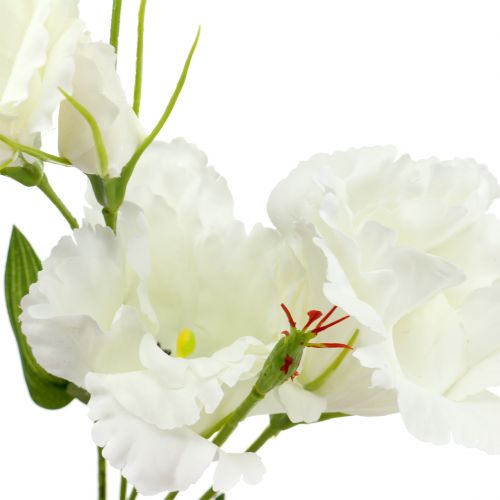 daiktų Lysianthus dirbtinė gėlė balta L87,5cm