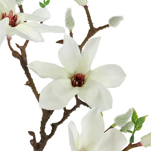 Floristik24 Magnolijos balta 51cm 3vnt